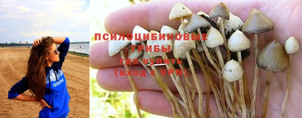 apvp Нефтегорск